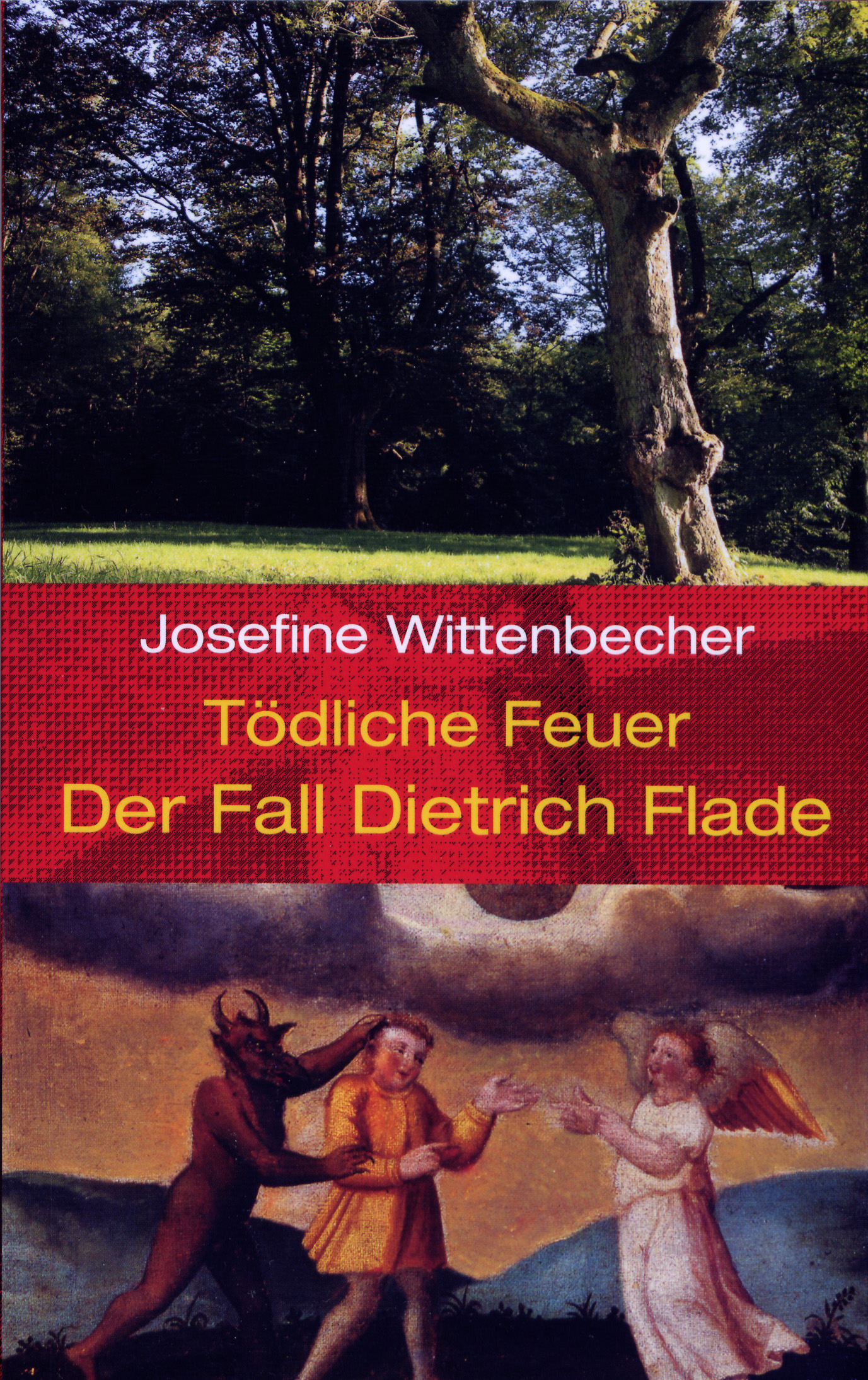 Tdliche Feuer  Der Fall Dietrich Flade